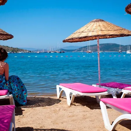 Ladonia Del Mare (adults Only)
