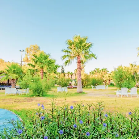 Ladonia Del Mare (adults Only)