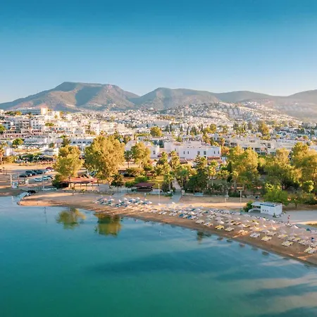 Ladonia Del Mare (adults Only)